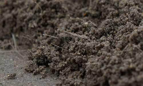 Армирование фундамента от А до Я по советам опытных строителей. Что важно знать 04