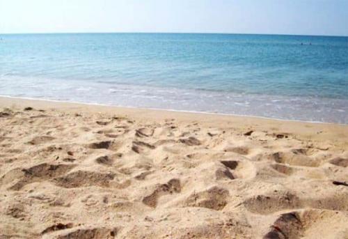 Цемент М500 пропорции с песком. Основные составляющие цементного раствора – вода, песок и цемент