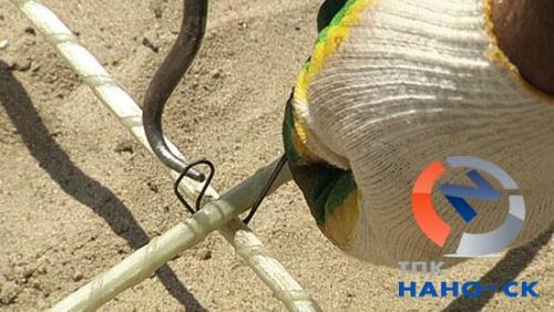 Как правильно вязать стеклопластиковую арматуру, чем вязать и как вязать?